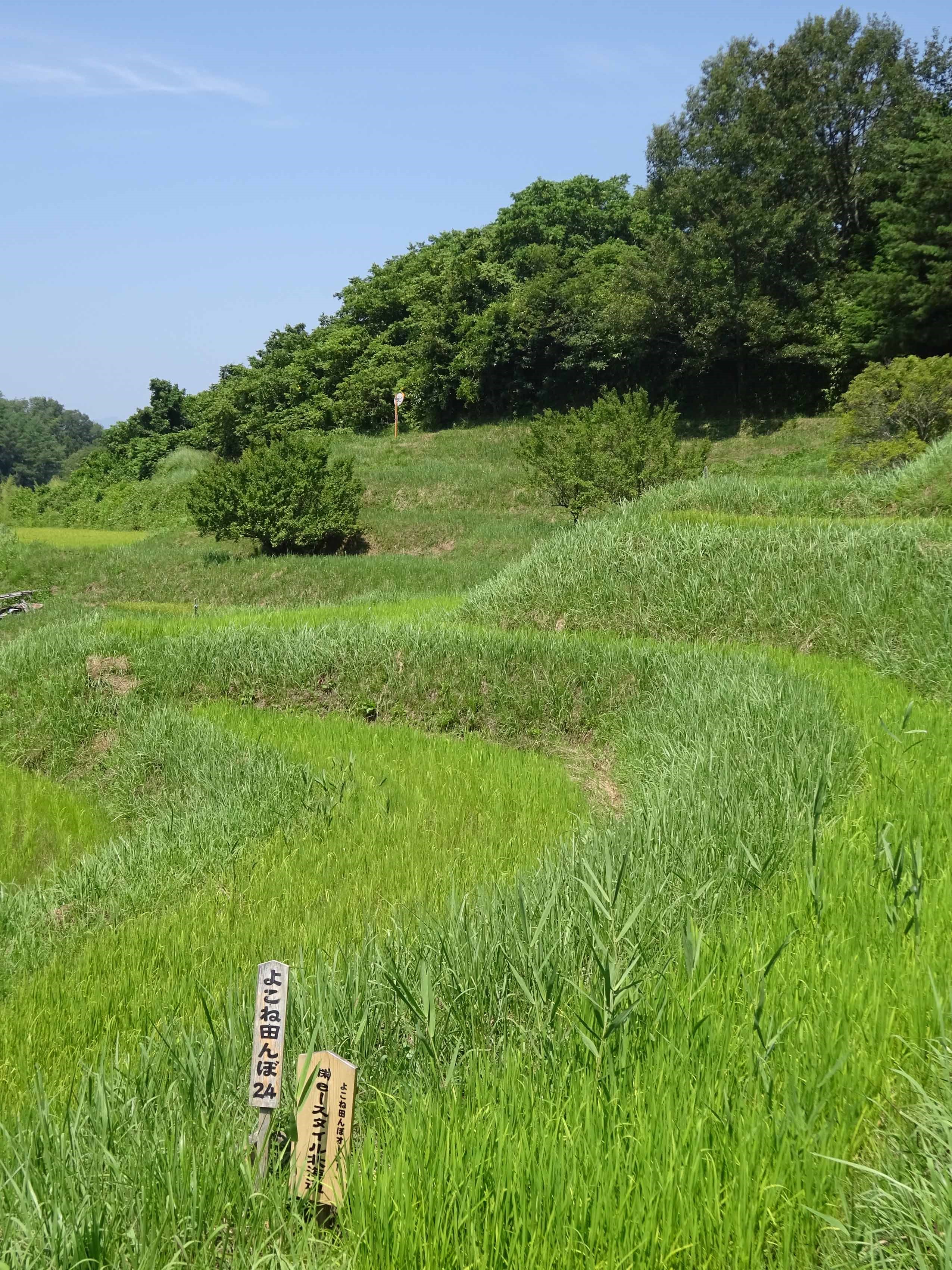 北海道の最高の美容室「イースタイル・ナトゥーラ」